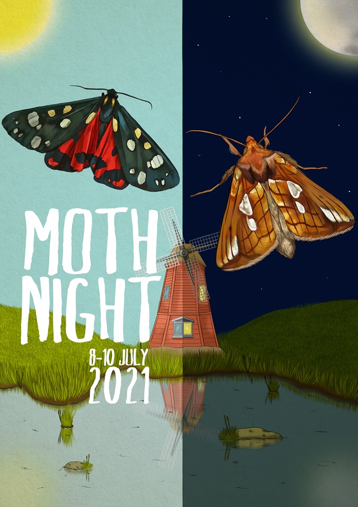 to Moth Night 2022 Moth Night
